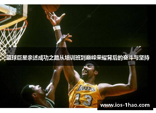 篮球巨星亲述成功之路从培训班到巅峰荣耀背后的奋斗与坚持