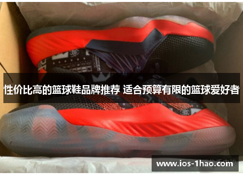 性价比高的篮球鞋品牌推荐 适合预算有限的篮球爱好者