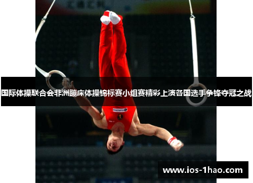 国际体操联合会非洲蹦床体操锦标赛小组赛精彩上演各国选手争锋夺冠之战
