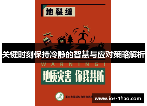 关键时刻保持冷静的智慧与应对策略解析