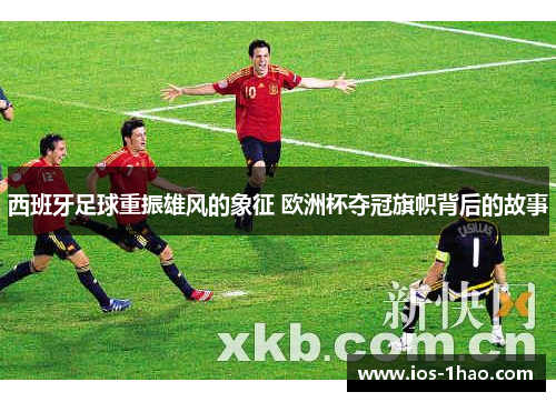 西班牙足球重振雄风的象征 欧洲杯夺冠旗帜背后的故事