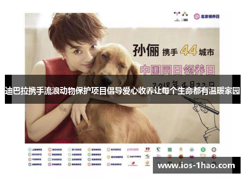 迪巴拉携手流浪动物保护项目倡导爱心收养让每个生命都有温暖家园
