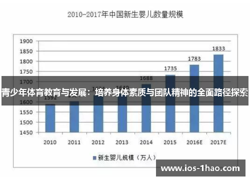 青少年体育教育与发展：培养身体素质与团队精神的全面路径探索