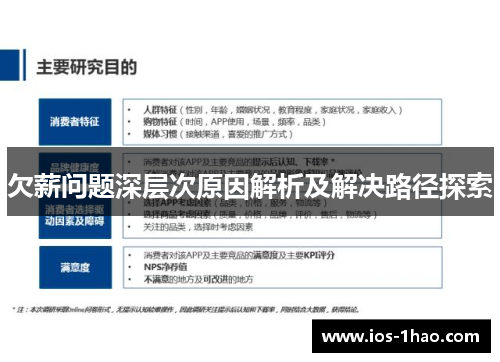 欠薪问题深层次原因解析及解决路径探索