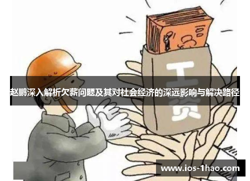 赵鹏深入解析欠薪问题及其对社会经济的深远影响与解决路径