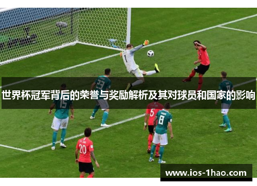 世界杯冠军背后的荣誉与奖励解析及其对球员和国家的影响