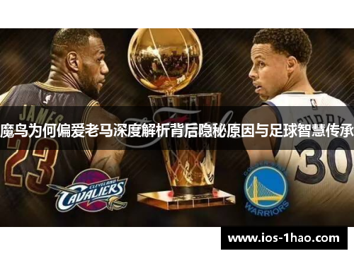 魔鸟为何偏爱老马深度解析背后隐秘原因与足球智慧传承