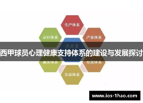西甲球员心理健康支持体系的建设与发展探讨